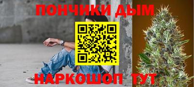 альфа пвп Новодвинск