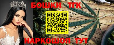 альфа пвп Новодвинск