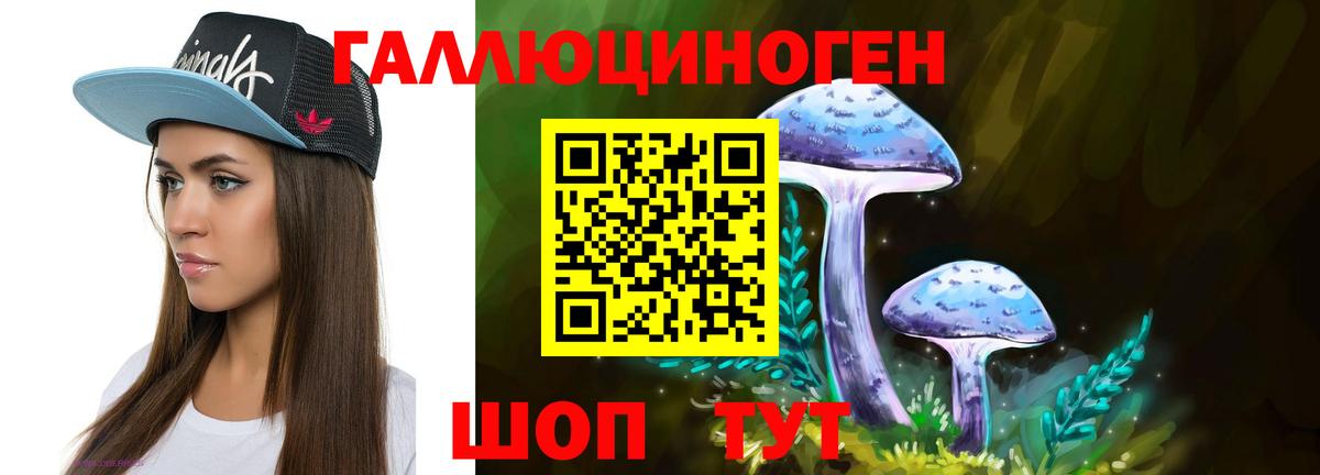 Галлюциногенные грибы Psilocybine cubensis  Галлюциногенные грибы Cubensis  Тавда  Вход с VPN 